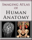 Icon: Imaging Atlas of Human Anatomy (ModalityBody)